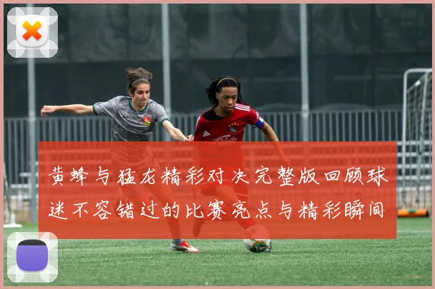 黄蜂与猛龙精彩对决完整版回顾球迷不容错过的比赛亮点与精彩瞬间