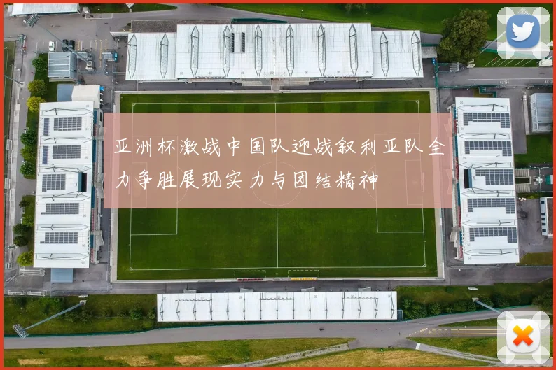 亚洲杯激战中国队迎战叙利亚队全力争胜展现实力与团结精神