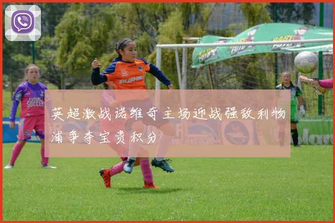 英超激战诺维奇主场迎战强敌利物浦争夺宝贵积分