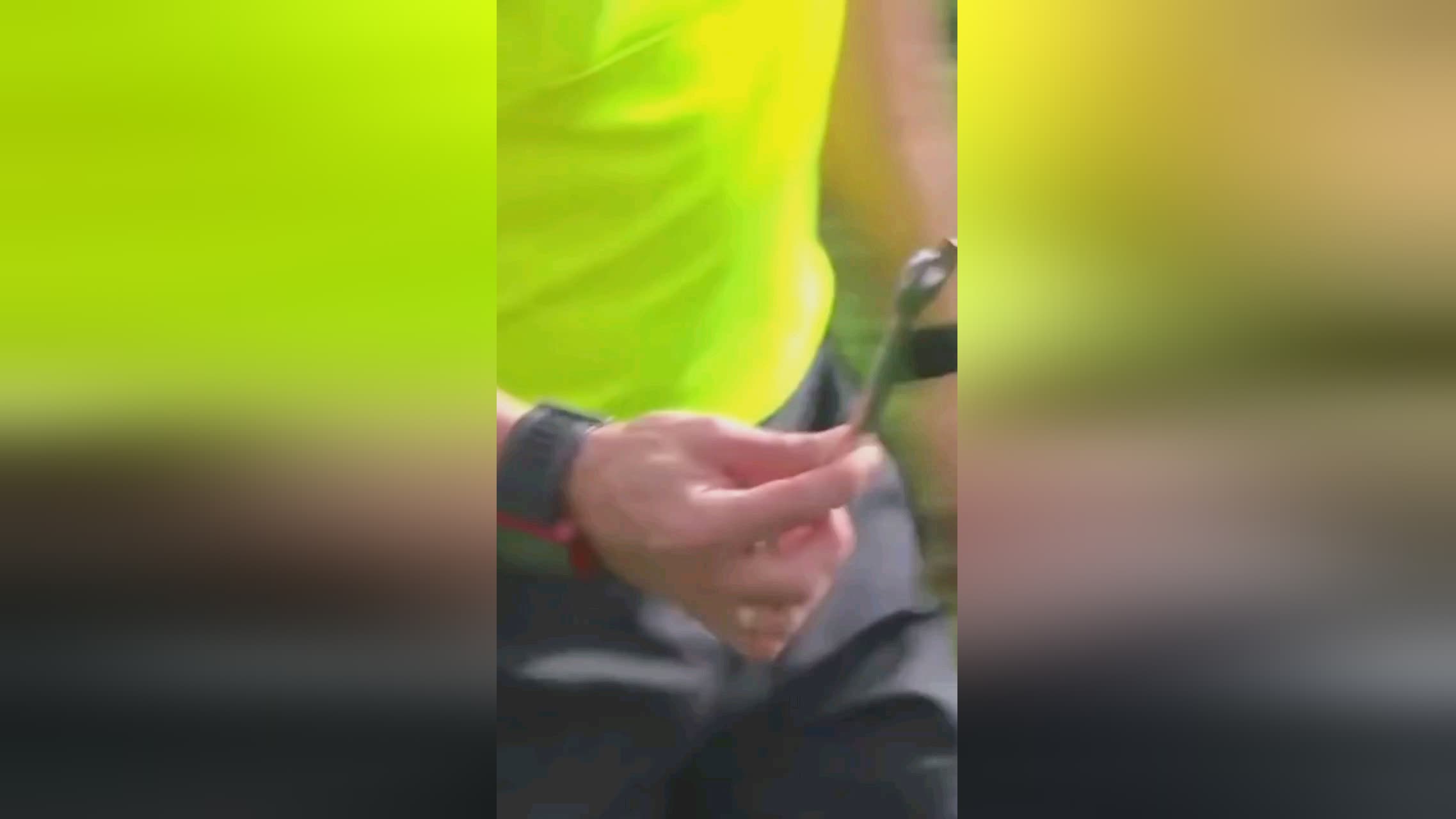 观察和体