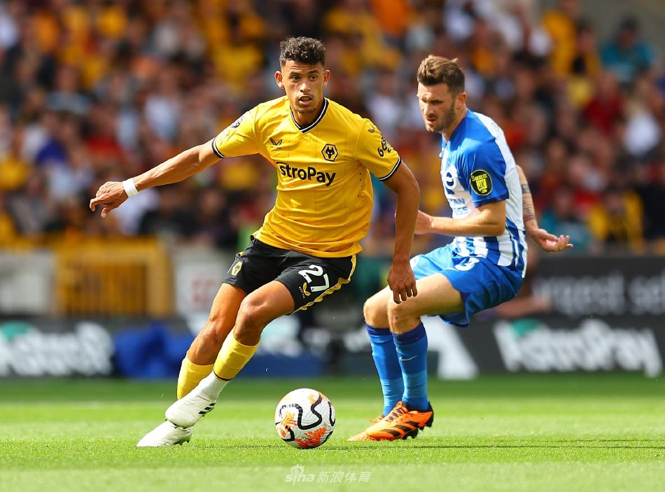 耀眼的光辉 耀眼的光辉